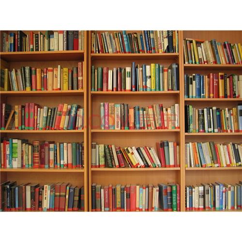 直播间背景布直播间背景墙主播背景布3d直播间书房背景布立体高清室内