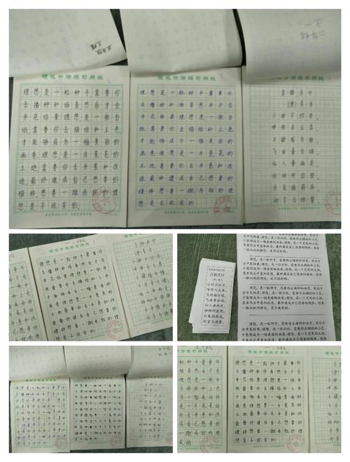 红心向党"舞动青春,放飞梦想"不忘初心 记沙土双庙小学第三届文体周