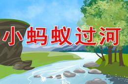小班科学小蚂蚁过河ppt课件