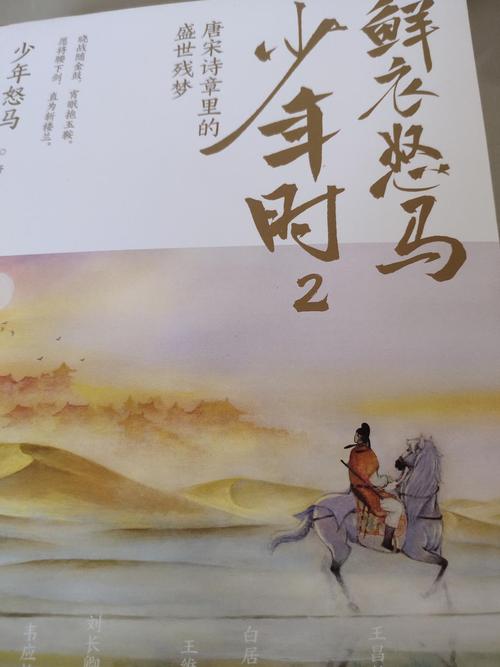 鲜衣怒马少年时