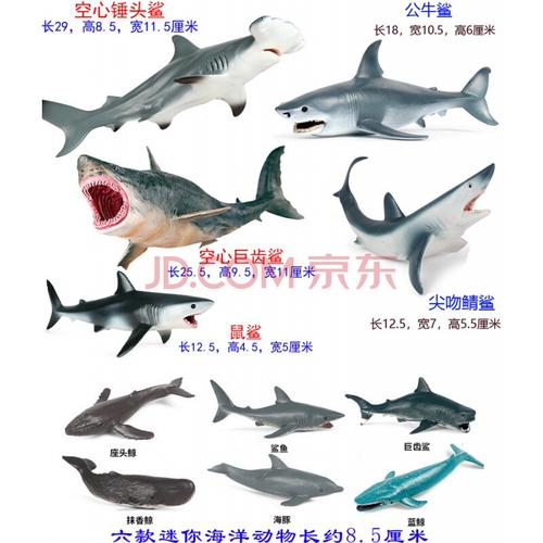 软胶巨齿鲨玩具空心硬塑料鲨鱼锤头鲨双髻鲨虎鲨大白鲨仿真模型公仔