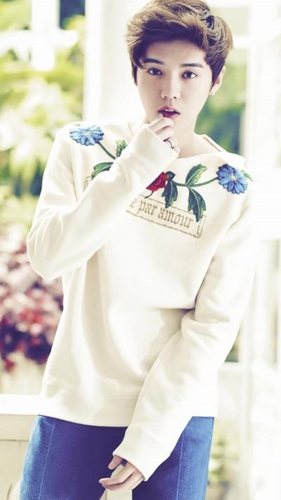 鹿晗 帅气 手机壁纸