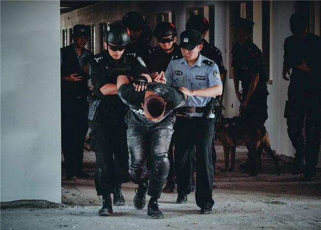 安徽某地,"抓捕"收网!|追捕|罪犯_网易订阅