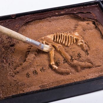 新奇意礼物化石巧克力挖掘考古恐龙化石礼朋友400克经典霸王龙