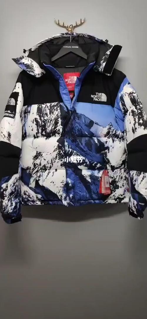 北面雪山羽绒服_羽绒服_北面羽绒服_时尚_穿搭