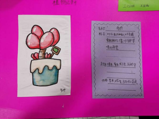 多肉植物是种顽强的小生命,只需要一点点水,阳光,土壤,就可以扎根于一