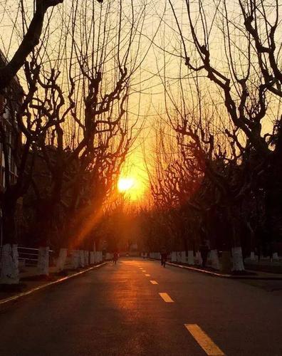 美图| 美美的复旦大学