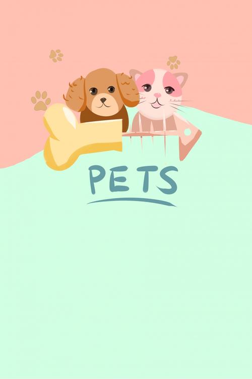 小清新 宠物店 宠物之家 猫, 宠物之家, 宠物用品, 宠物店背景图片