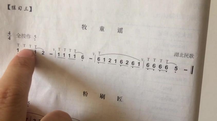 葫芦丝牧童教学视频视频在线观看 - 西瓜视频