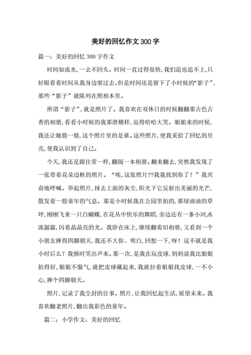 美好的回忆作文300字.doc 11页