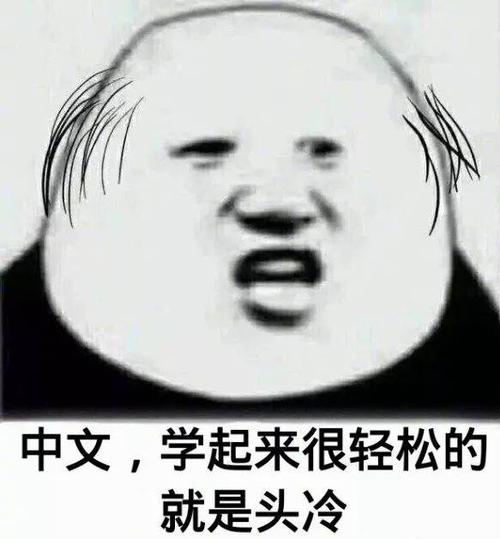 当年选专业时脑子进的水,如今都变成了表情包