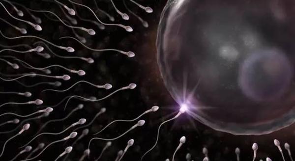 5.精子可在女性体内存活5天