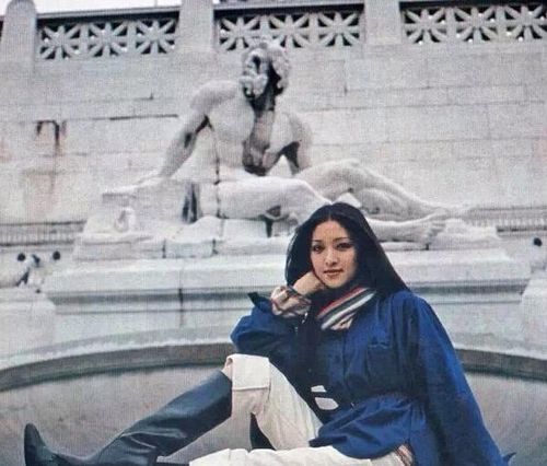 林青霞和胡因梦