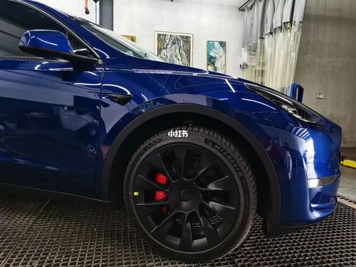 特斯拉model y长续航版蓝色7720寸轮毂_上海攻略_特斯拉怎么样_提车