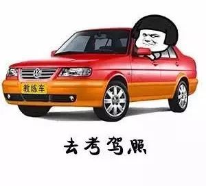 节约拿证时间,高效预约流程 体检,报名,练车安排, 预约考试,打证一步