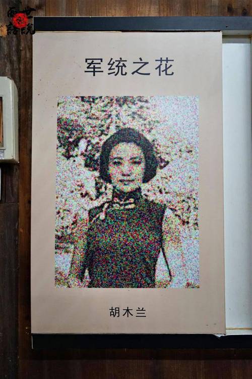 sissi觉得最好看的那一位军统之花.