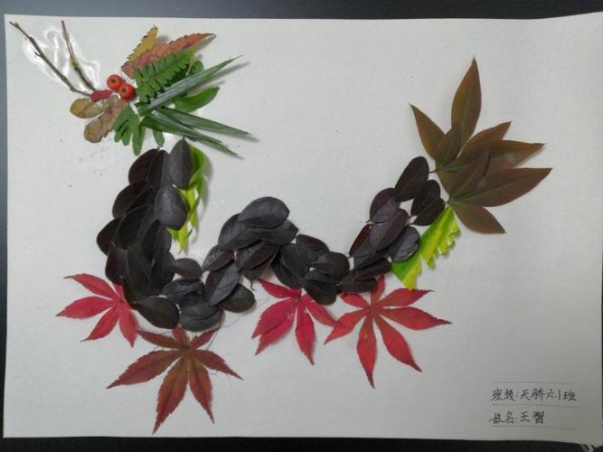 巧手绘秋——天骄六年级天华1班树叶画