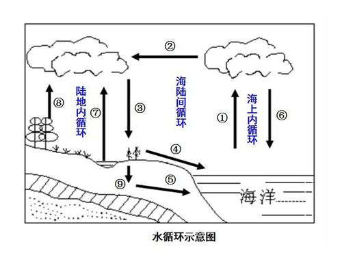 高中地理自然界水循环知识点与我们生活密切相关