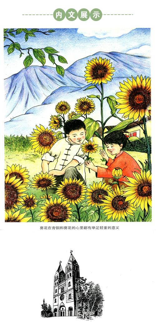 草房子 根鸟 青铜葵花曹文轩畅销小学生四五六年级必读课外书适合