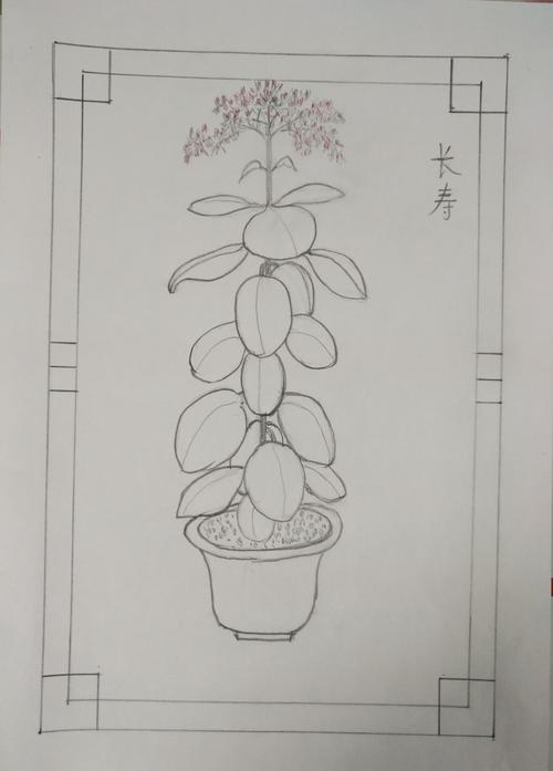 阳台上一盆长寿花,跃然纸上还挺像那么回事.