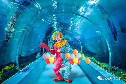 安阳万海海洋馆,离我们最近,规模最大的海洋馆.