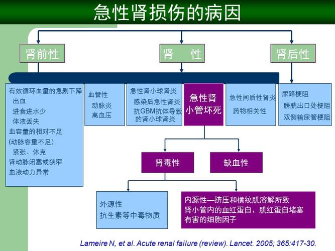 急性肾损伤(aki).ppt