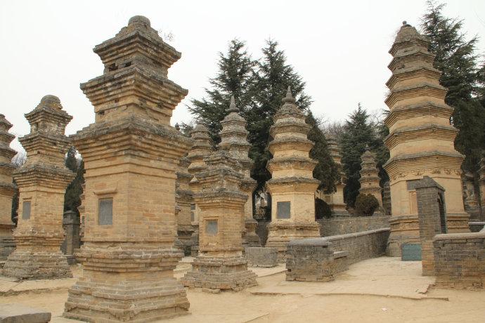 摄影:少林寺塔林
