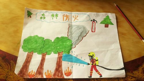 "森林防火,人人有责"——新起点幼儿园森林防火画画作品展示