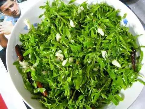 一盘野菜差点要了她的命!重庆采野菜全攻略