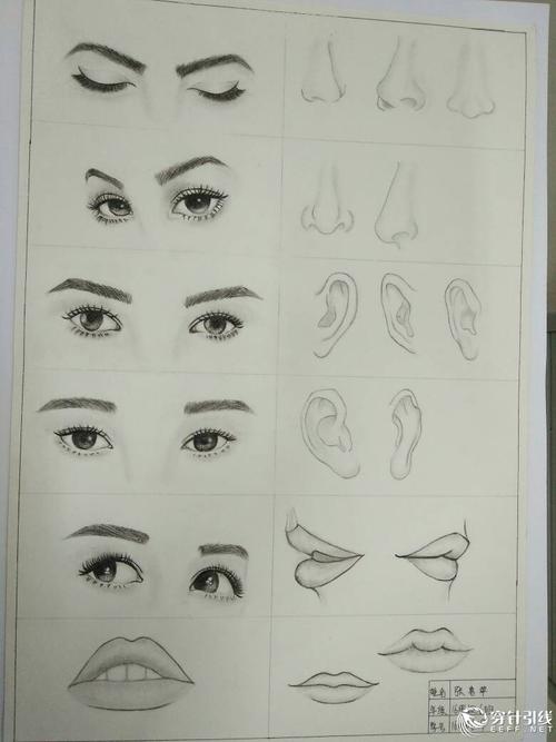 服装人体五官,头像