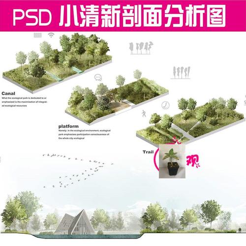 滨水竞赛风景观小清新ps立面剖面分析图植物素材剖透海绵psd素材