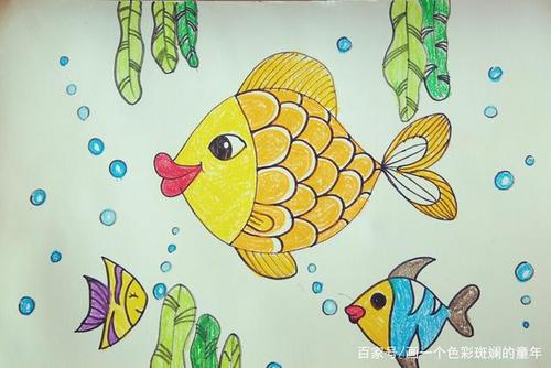 儿童画,简笔画:  热带鱼