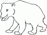 棕熊简笔画