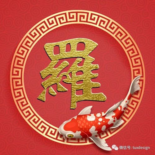 遇见锦鲤,霉运退散,好运降临!20张百家姓微信头像已更新!