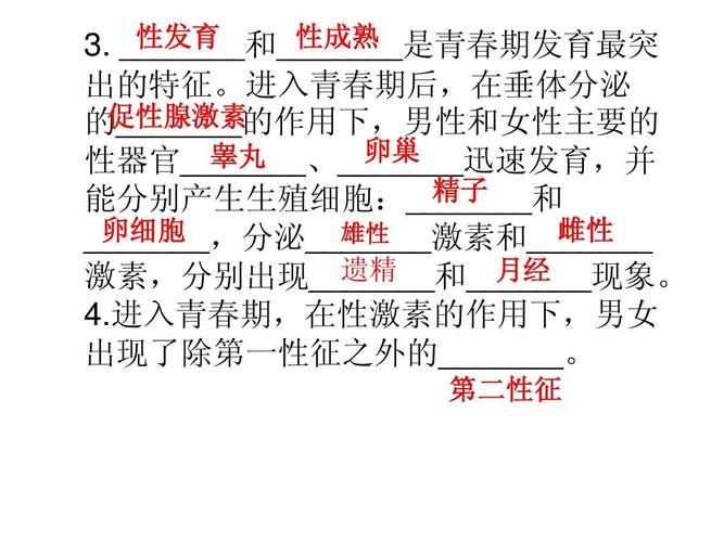 生物一轮复习人类的生殖和发育练习答案ppt