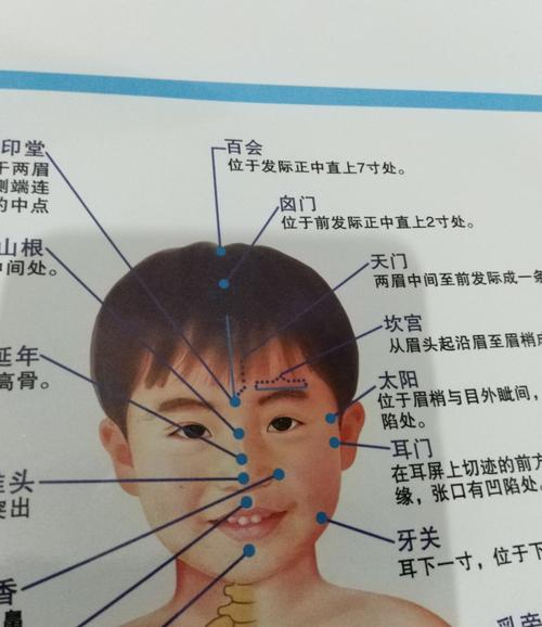 经络点穴知识01:百会穴