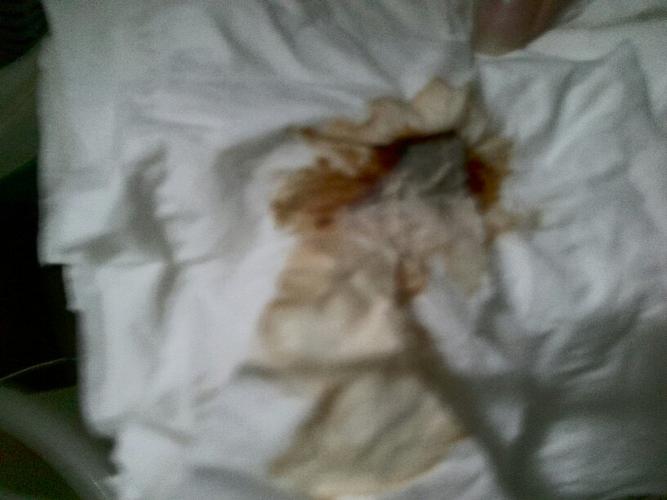 我刚刚还发现三个避,孕,套,还有一堆纸上面一堆血