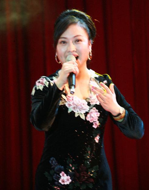 访河南省政协委员,国家一级演员王红丽女士