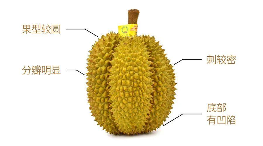 软胜乳酪滑过奶糕泰国a级榴莲榴莲控绝对不能错过