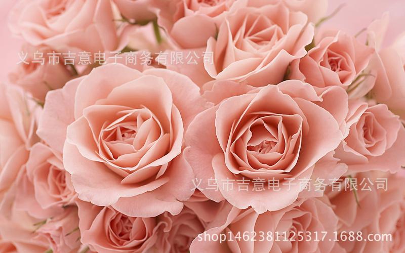 金玫瑰 金箔玫瑰花 圣诞节情人节送女友送老婆礼物金店同款