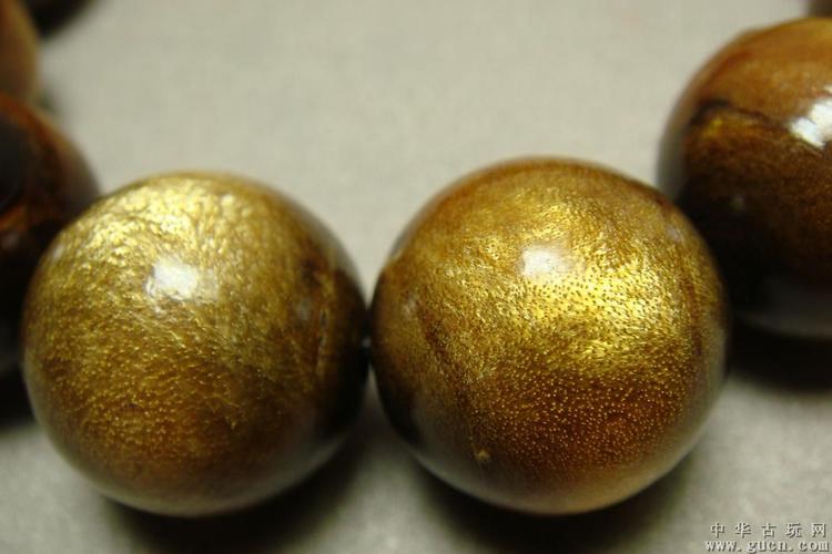  p>金珊瑚是生长在太平洋海域的宝石珊瑚品种,生物学分类隶属于 a