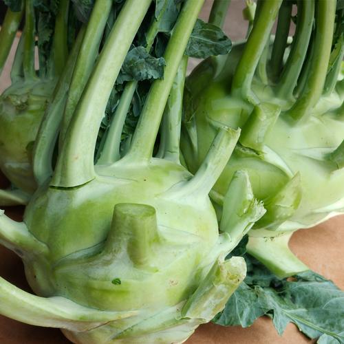 新鲜苤蓝芥蓝5斤蔬菜芥菜疙瘩大头菜装蓝下饭菜其它