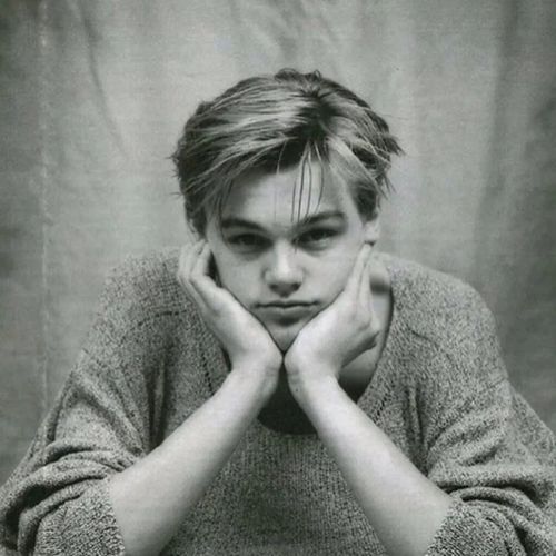 "帅气的小李子头像"