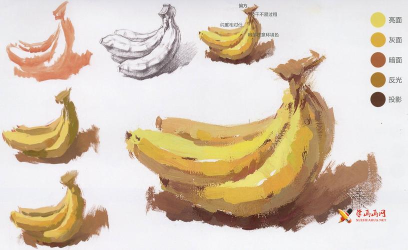 水粉画香蕉的画法单体步骤图解