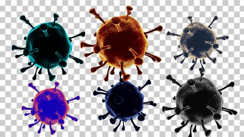 【原创】冠状病毒细菌合集