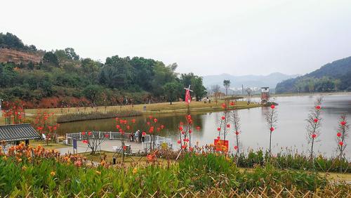 郁南都城大王山森林公园～文德塔,西宁湖.22020年1月14日摄制