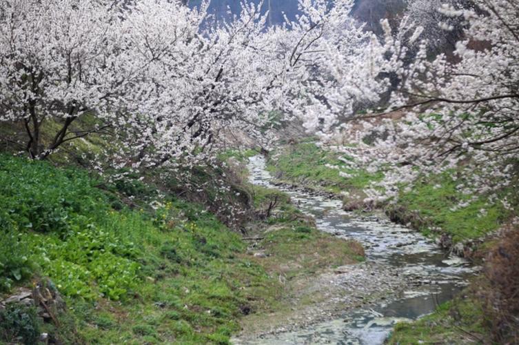 十堰鹰卧沟(又称樱桃沟)