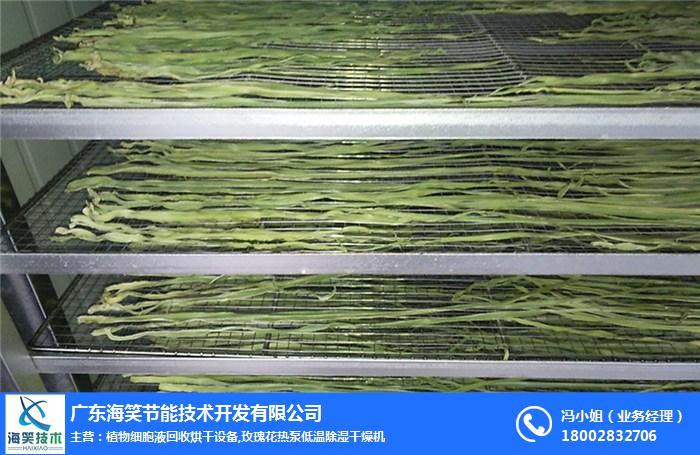 > 海南贡菜烘干机,海笑节能技术,新型贡菜烘干机  贡菜加工方法的机械