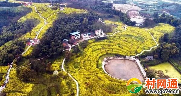 九龙坡区走马镇即将发生超级大变化_重庆市九龙坡区镇