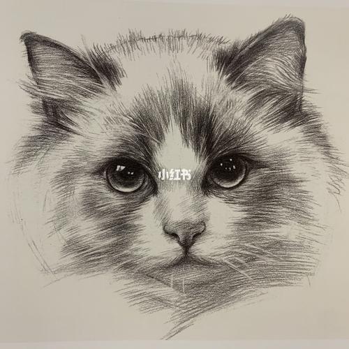 创作素材动物类创意线性素描_素描_素材_文化_绘画